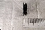 Шкив 101.05.00.118 натяжника вентилятора отсоса пыли Вектор 