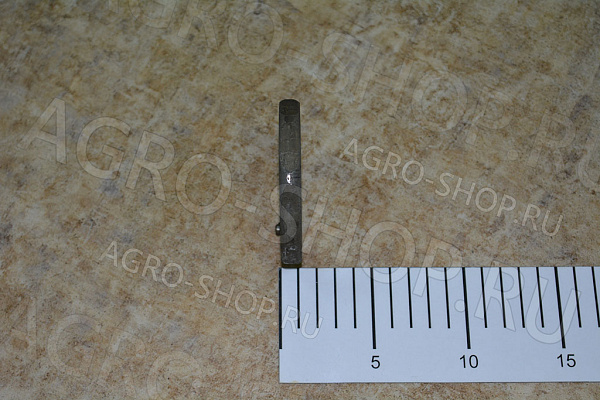 Гайка 53-2401054-01 подшипников ступицы внутреняя со штифтом ГАЗ-53 ГАЗ