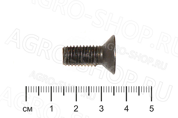 Винт 610128401 (128440) дифференциала М6х10 FARESIN CARRARO