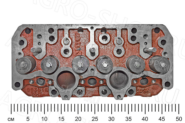 Головка 260-1003012 в сборе Д-260 (ММЗ)