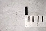 Гидронатяжитель Р406.1006100-223 двурядная цепь Евро-2 ЗМЗ-405,406,409 G-Part