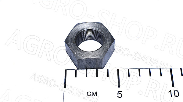Гайка 50-3001087 цапфы МТЗ-80/952 (САЗ)