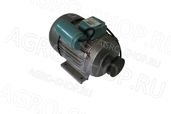 Электродвигатель 550 Вт асинхронный ДОЮШКА 