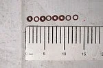 Кольцо 42164-2904072 + 406-1004122 / 21378 упл. форс. 8шт(узк+широк) фторкаучук Газель-Бизнес, УМЗ-4216 Евро-4 ROSTECO