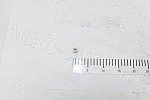 Гайка 66-1008035(362068-14) коллектора М10х1 высокая (латунь) ГАЗ-53,3307,24 
