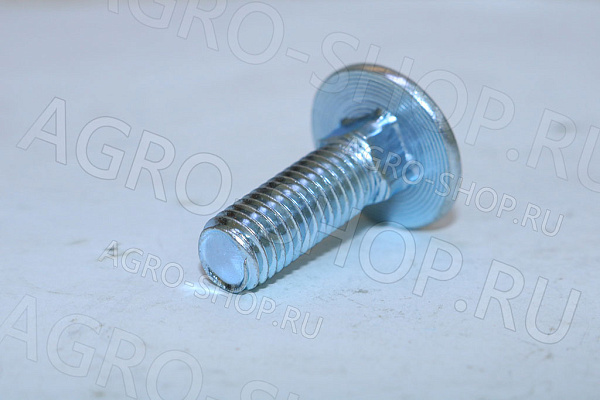 Болт 10х30 полукруглая головка квадратный подголовник стандартный Шаг 1,5 ГОСТ 7802 кл.пр. 10,9 РФ