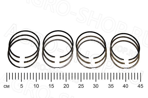 Кольца поршневые ДМ.421-1000100-10 (100,0мм) (4п/к) ЗМЗ-4104, УМЗ-421 G-Part
