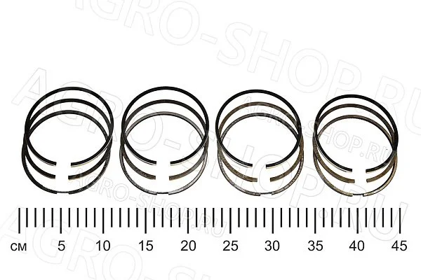 Кольца поршневые ДМ.421-1000100-10 (100,0мм) (4п/к) ЗМЗ-4104, УМЗ-421 G-Part