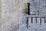 Штырь С4.603-01 стяжки со шплинтом КРН-5,6 