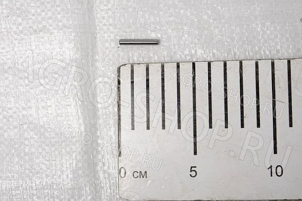 Ролик подшипника 4х23,8 GB/N309-2000 (кит. мост) Т-150 