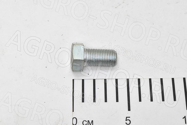Болт  крепления скребка (чистика) КИС-8 Ростов
