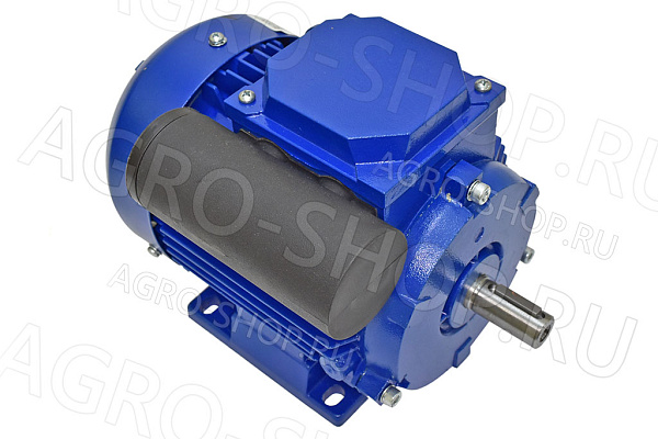 Электродвигатель 0,75 кВт, 1500 об/мин без шкива АИД-2 