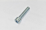 Винт 12х55 цилиндрическая головка с внутренним шестигранником Шаг 1,75 ГОСТ 11738-84 кл.пр. 8,8 