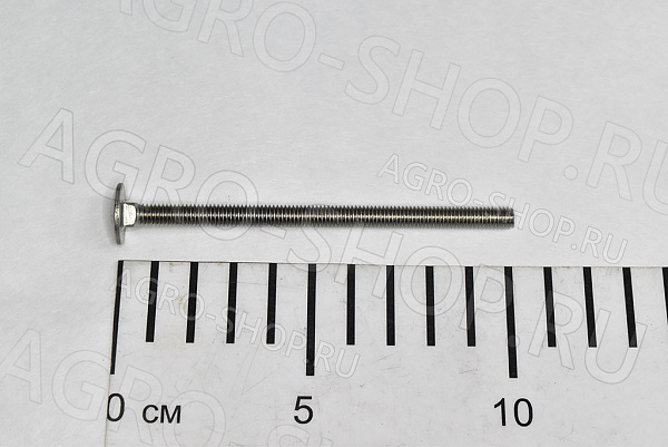 Болт 6х100 полукруглая головка квадратный подголовник стандартный (нержавейка) Шаг 1,0 ГОСТ 603  