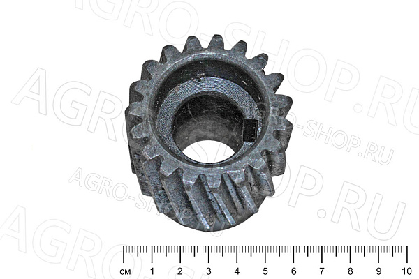 Шестерня ТСН 00.635 на редуктор наклонного транспортера (d=24 мм; z=19) эл.дв. 2,2 кВт ТСН-160 