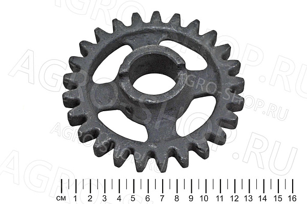 Шестерня СКП 01.06.012А / СЗШ 06.101 z=25 СЗС-2,1, СКП-2,1 (Омск) 