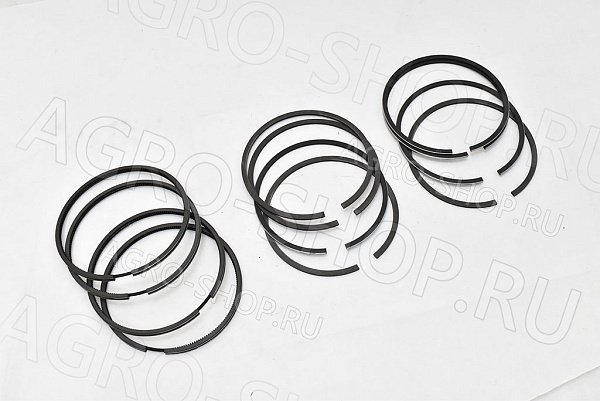 Кольца поршневые РМ421-1000100-10Р2 (101,0мм) (4п/к) ЗМЗ-4104, УМЗ-421 ГАЗ