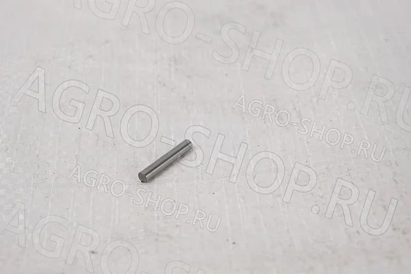 Ролик подшипника 4х23,8 GB/N309-2000 (кит. мост) Т-150 