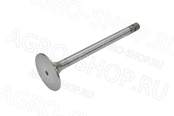 Клапан 260-1007014 впускной (большой) Д-260 (КМЗ)