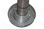 Цапфа 70-3001085-01 поворотная правая МТЗ-80 (БЗТДиА)