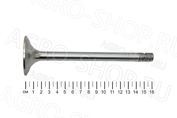 Клапан 260-1007014 впускной (большой) Д-260 (КМЗ)