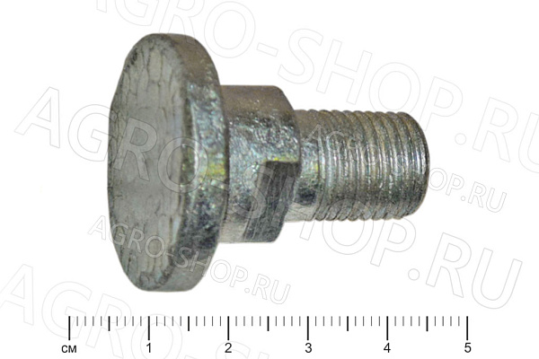 Болт КПП 3.1.01.01.648 специальный КДН-210 Бобруйск