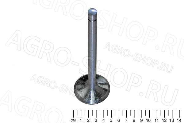 Клапан 260-1007014-А1 впускной (большой) Д-260 (Луганск)