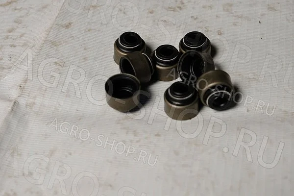 Колпачки 12-22026-01 маслосъемные ГАЗ-53,3307,24 Viktor Reinz