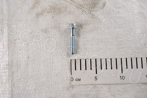 Винт 10х50 цилиндрическая головка с внутренним шестигранником Шаг 1,5 DIN 912 кл.пр. 10,9