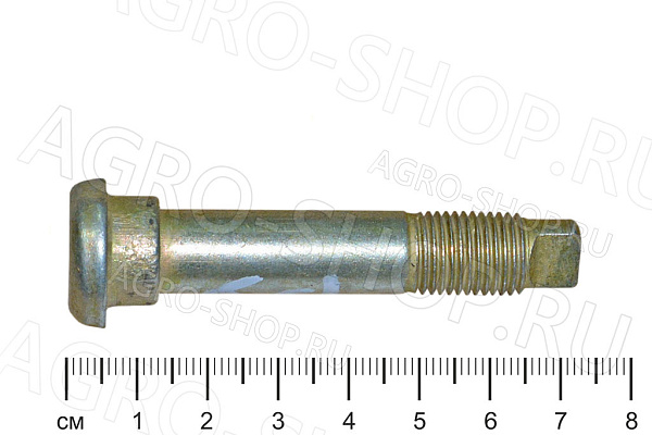 Палец 21Р-3501068 опорный передних колодок ГАЗ-2410,31029 ГАЗ
