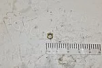 Гайка 887А-3101040-01 колеса правая КПП-4,2, ПКК-2-02, ПКК-2-05 